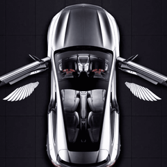 Angel Wing Car Door Lights